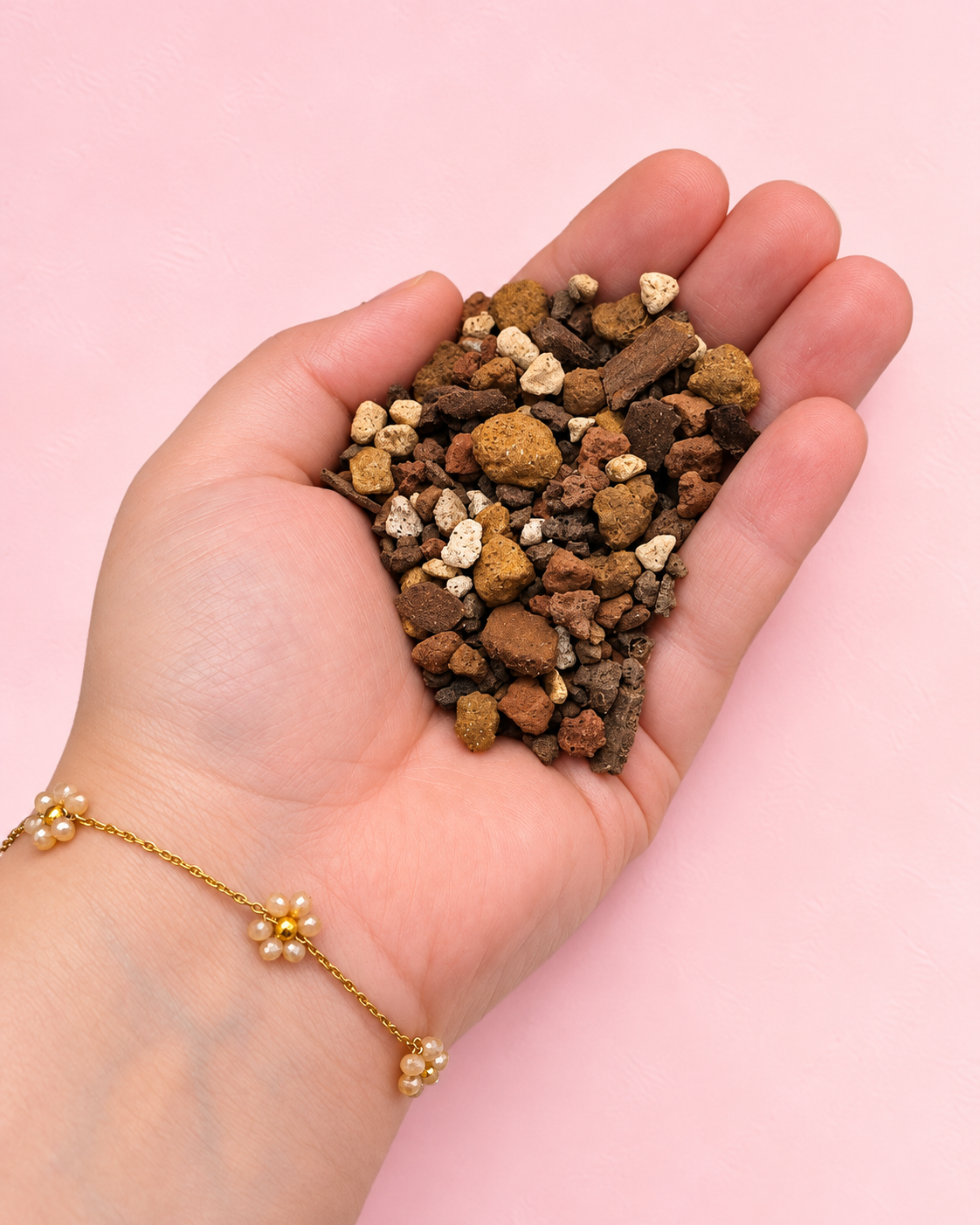 Molly’s Succulent & Cactus Mix — Substrat minéral ultra drainant